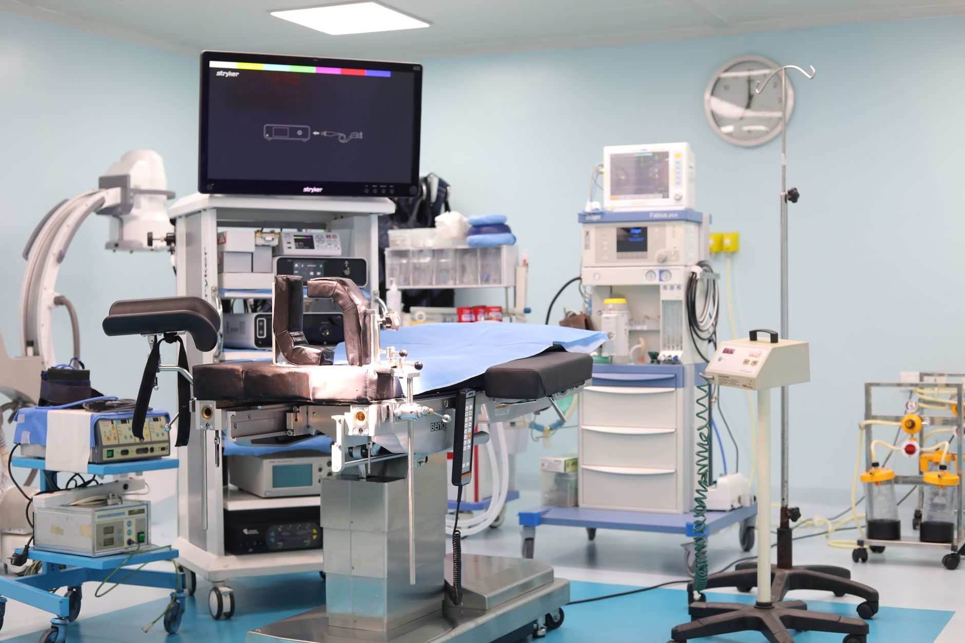 Ecografia: tecnica, anatomia ed applicazione clinica