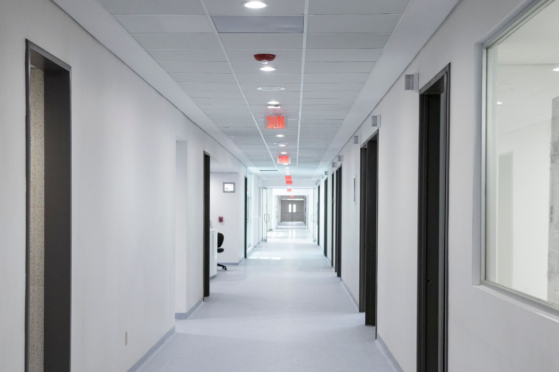 Management sanitario