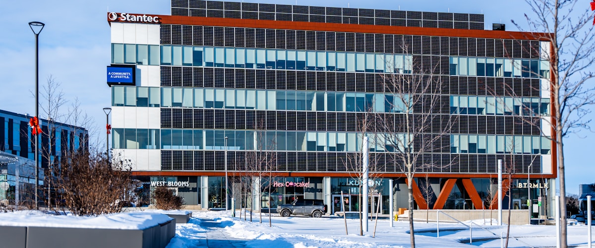 ESG Management e sostenibilità aziendale