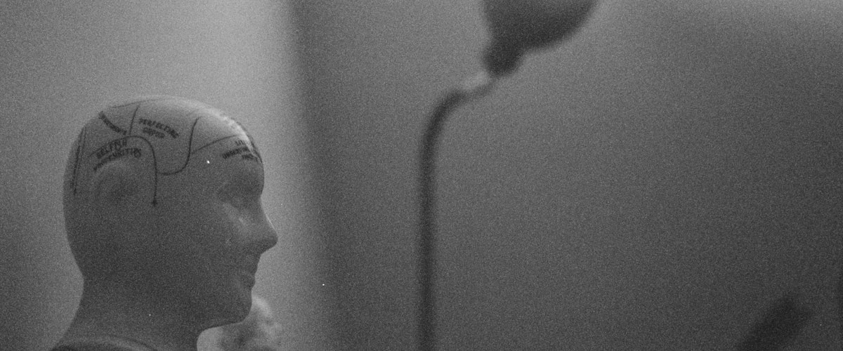 Scienze e Tecniche Psicologiche (L-24)